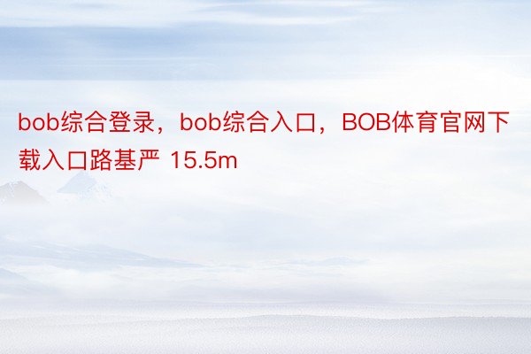bob综合登录，bob综合入口，BOB体育官网下载入口路基严 15.5m