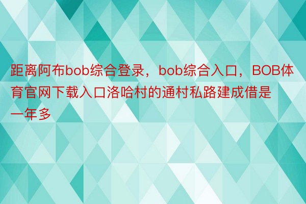 距离阿布bob综合登录，bob综合入口，BOB体育官网下载入口洛哈村的通村私路建成借是一年多