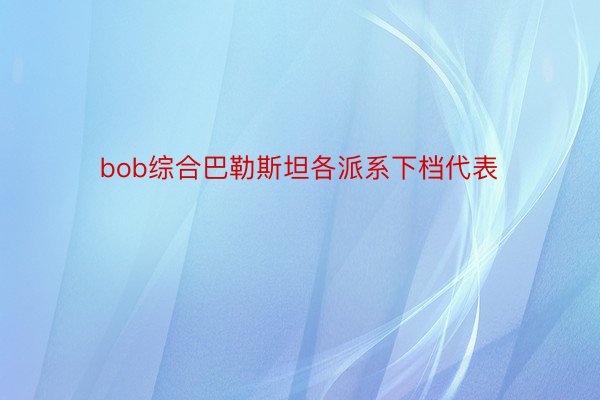 bob综合巴勒斯坦各派系下档代表