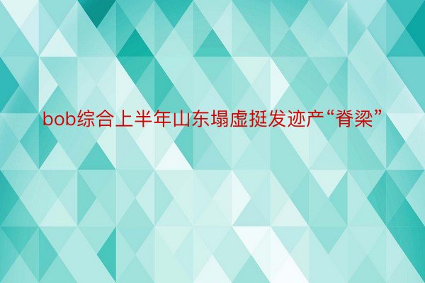 bob综合上半年山东塌虚挺发迹产“脊梁”